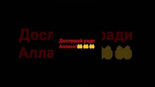 #проповедь #хадисыпророка #добро #путьислама #коран #аллах #напоминание #хадис #духов