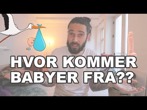 HVOR KOMMER BABYER FRA ?? STOREBROR HOFFE