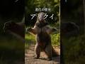アリクイの進化　#アリクイ #オオアリクイ　#進化 #animals #歴史 #科学