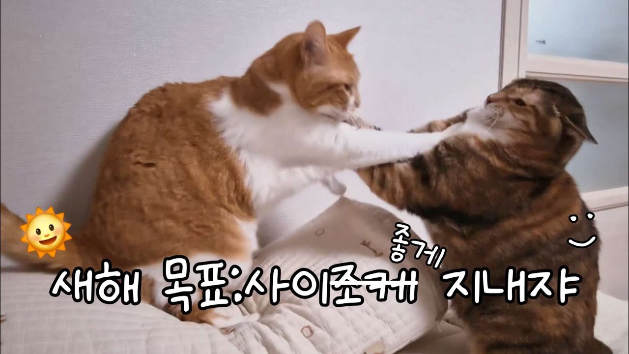 아무튼 싸우는거 아님