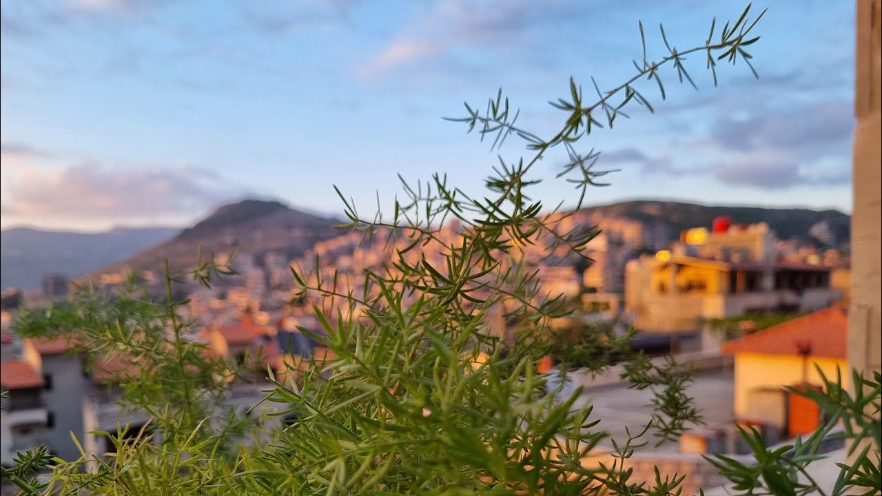 فيروز الصباح مع مشوار من صافيتا الى طرطوس في ربوع سوريا