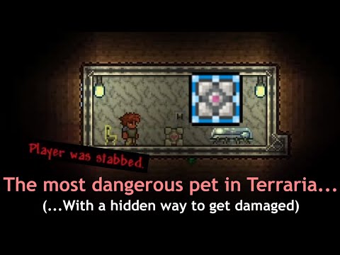 The most dangerous pet can hurt you... and never speak. ─ Terraria
