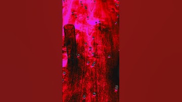 Reverse #reverse #asmr #satisfying #beads #reversebeads #dominomarble #reversevideo #shorts