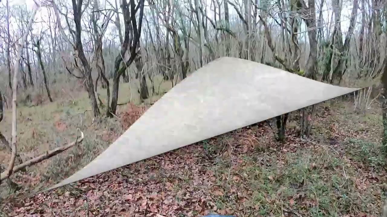 Recherche d'un sanglier blessé avec un Chien de Rouge