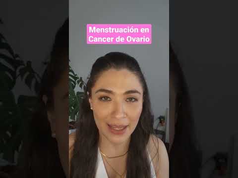 ¿Cómo son las