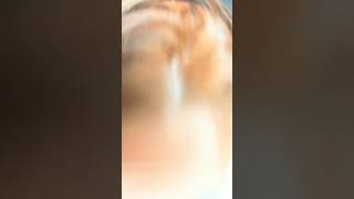 Little Einsteins Was Elite