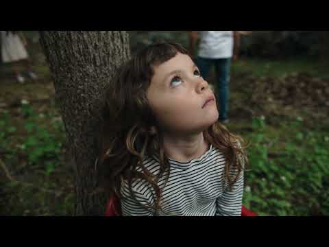 Fiddlehead - "Sullenboy" (Official Music Video)