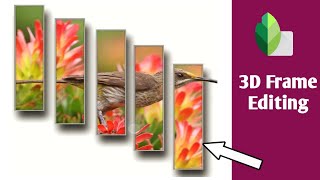 3D Frame Photo Editing Snapseed | Snapseed 3D Photo Editing | Mirror 3D Shadow Photo Editing screenshot 3