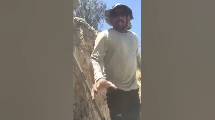 Asi se apalean  los dolares en san diego