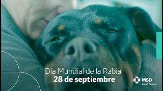 Día Mundial de la Rabia