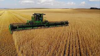 Swathing Wheat Harvest 2018!