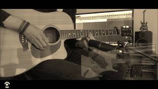 Video thumbnail of "Black Label Society - Like A Bird Guitar Cover"