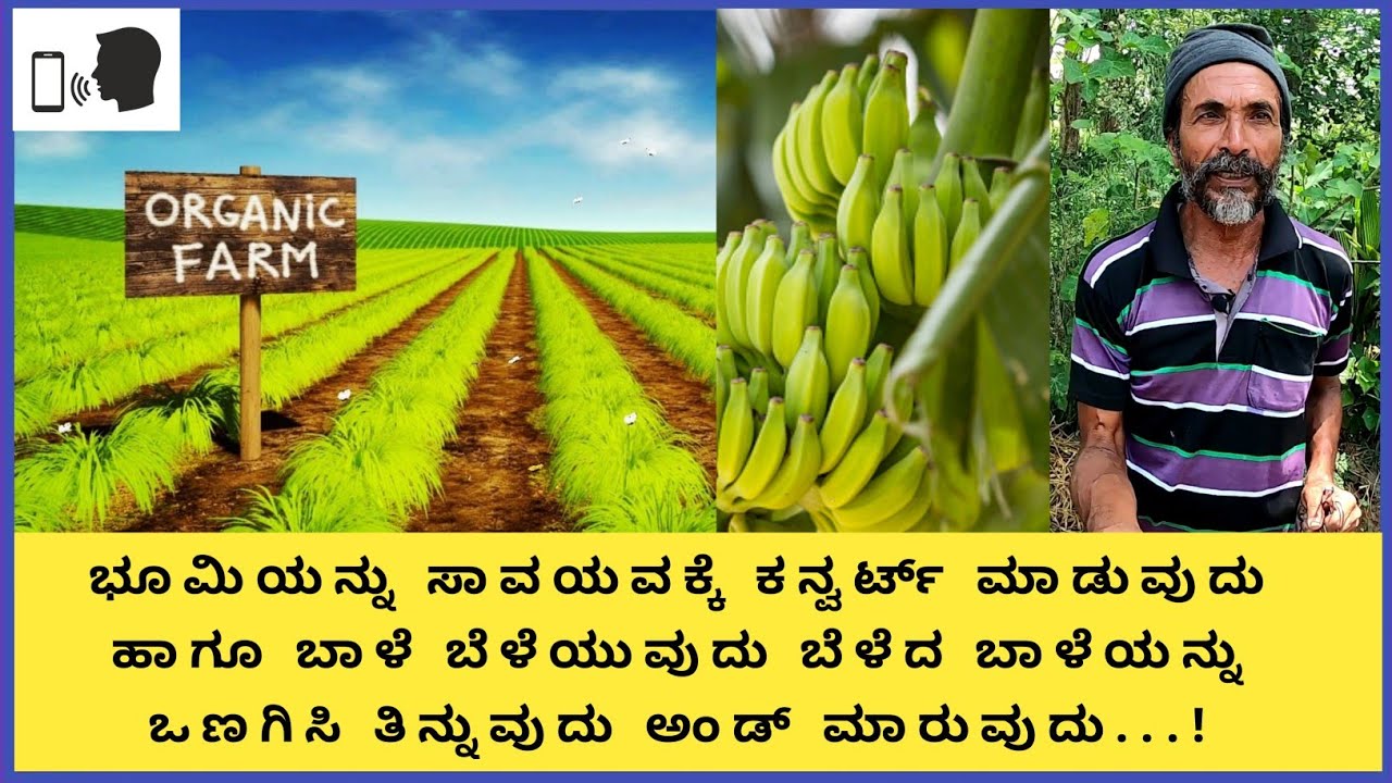 ನೀವು ಕೂಡ ಸಾವಯವ ಕೃಷಿಯತ್ತ ವಾಲುತ್ತಿದಿರಾ ಹಾಗಾದರೆ ಇವರ ಮಾತನ್ನು ಕೇಳಿ ಹಾಗೂ ಇವರ ಮಾತಿನಂತೆಯೇ ನಡೆಯಿರಿ...!