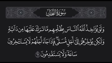 سورة النحل الآية 61