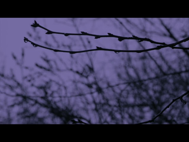 So cold~Ben Cocks (slowed) class=