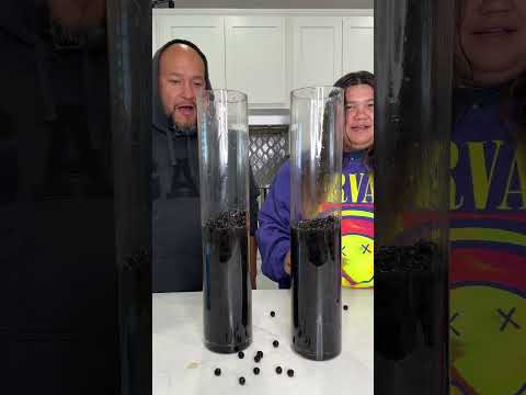 💕💙 Worlds Largest Boba Tea 💙💕