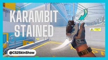 CS2 Karambit Knife Stained | CS2 In-Game Inspect [4K]