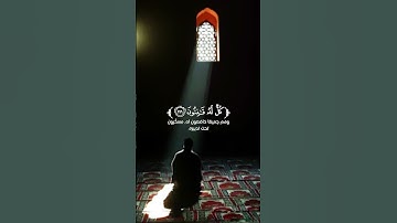 قرآن كريم 🌿تلاوة من سورة البقرة 🌿القارئ مشاري فالح 🌿