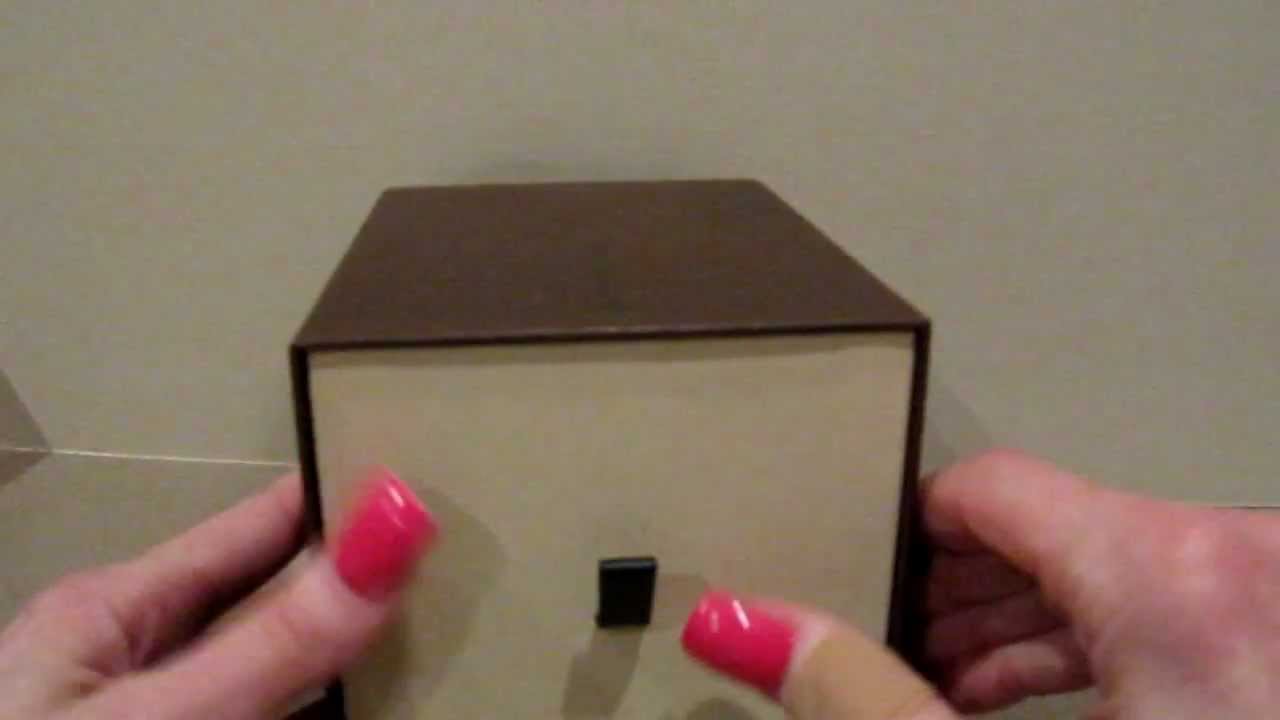Louis Vuitton Special Gift for Me from my Sales Associate - YouTube