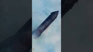SpaceX Starship Flight 12: Successful Splashdown + Unexpected Explosion #spaceX