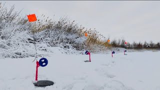 МАЛЕНЬКАЯ ЛУЖА КИШИТ РЫБОЙ! Ловля щуки на Жерлицы. Зимняя рыбалка