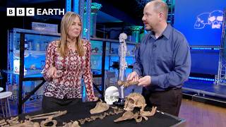 How Did Neanderthals Get So Strong? | Prehistoric Autopsy | BBC Earth Science