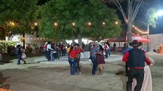 La Feria de las Flores-Los Corceles De Tijuana