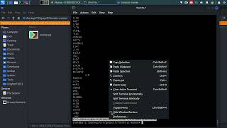 get secret text from image | grep ctf 2023 | steganography challenge
