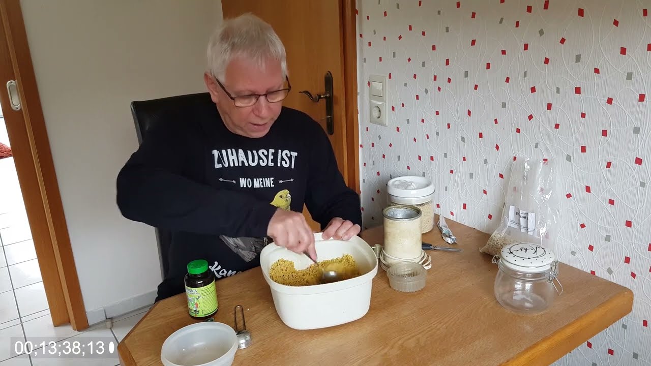 2023 8 Kanarienzucht 🐥 Harzer Jungvögel werden von den Eltern getrennt. 4k Videoualität