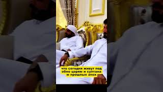 Они пасли бы верблюдов