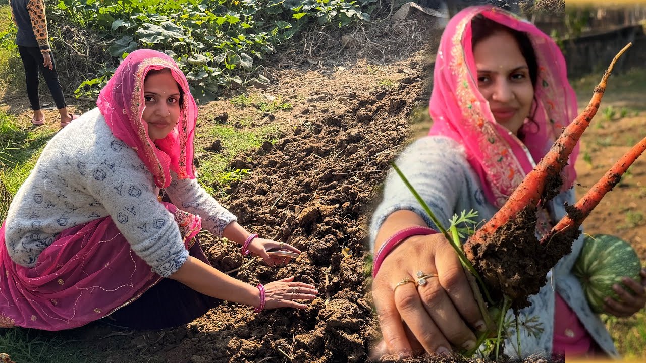 गांव में आई शहर की बहू का खेतों मैं काम🥰| village life