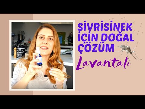 Video: Sivrisinek Kovucu Lavanta: Lavanta Esansiyel Yağı Böcekleri Uzaklaştırır Mı? Nasıl Kullanılır?