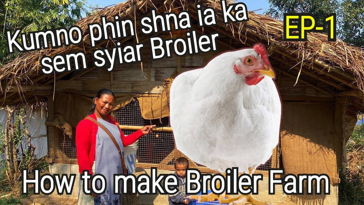 Kumno Phin Shna ia ka sem Syiar Broiler How to make broiler sheds Poultry farm Meghalaya