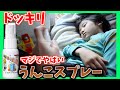 【ドッキリ】朝起きないから超臭いうんこスプレーかけたら激怒された