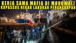 HEBOH‼️MOROWALI DIMASUKI MAFIA ILEGAL, KOPASSUS NEKAD LAKUKAN PENANGKAPAN❗