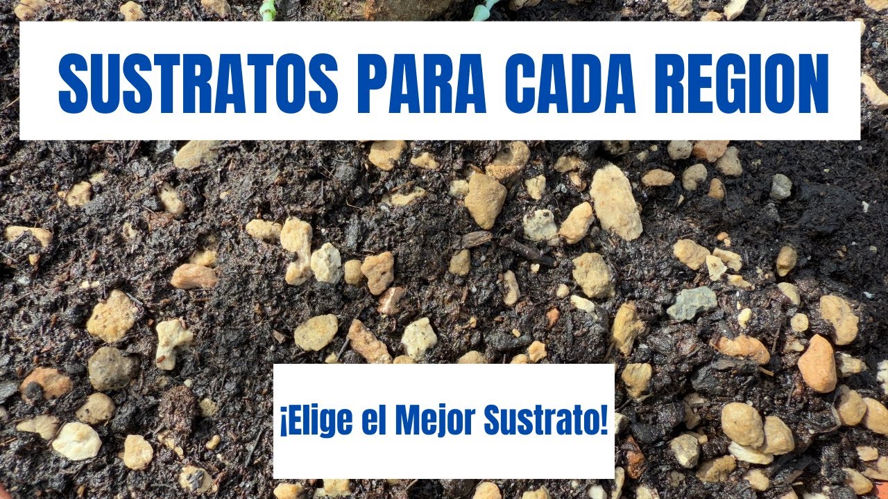 Cómo Elegir el Mejor Sustrato Según tu Ubicación Geográfica