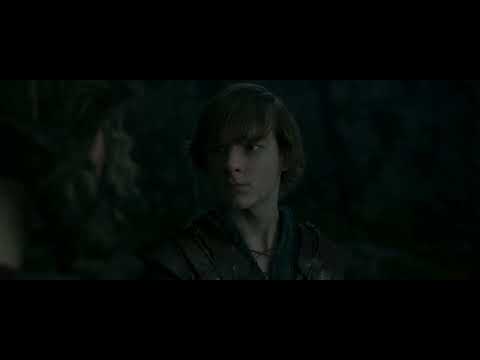 قسمتی احساسی از فیلم چگونه اژدهای خود را تربیت کنیم