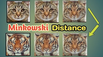 Minkowski Distance Image Transition| Machine Learning | Kivy | Python | 11 Sep 2022