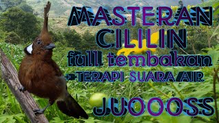 MASTERAN TEMBAKAN CILILIN plus TERAPI AIR MENGALIR MASTERAN BURUNG JUARA
