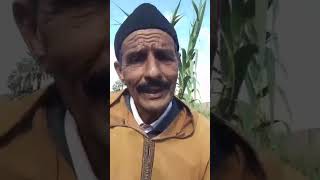 قصة الكرعة🥝وبطاطا🥔تحزمو وبغاو يقطعوا الواد🤣🤣قصة رائعة مع بالهاشمي📜