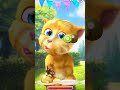 talking ginger gameplay funny cat video talkingtomversion talking ginger gameplay funny cat video talkingtomversion