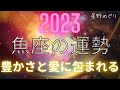 2023年　魚座の運勢　愛と豊かさに包まれる