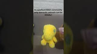 ~☆《all ESSA is valid!》☆~