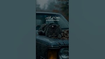 #قرآن كريم اكتب شئ تؤجر عليه#الرحمن#راحة_نفسية#استخدموا الصوت سبحان الله وبحمده سبحان الله العظيم ٩٠