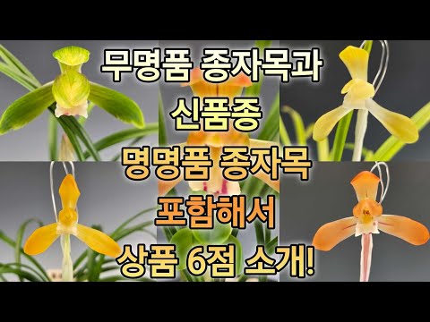 유튜브 썸네일