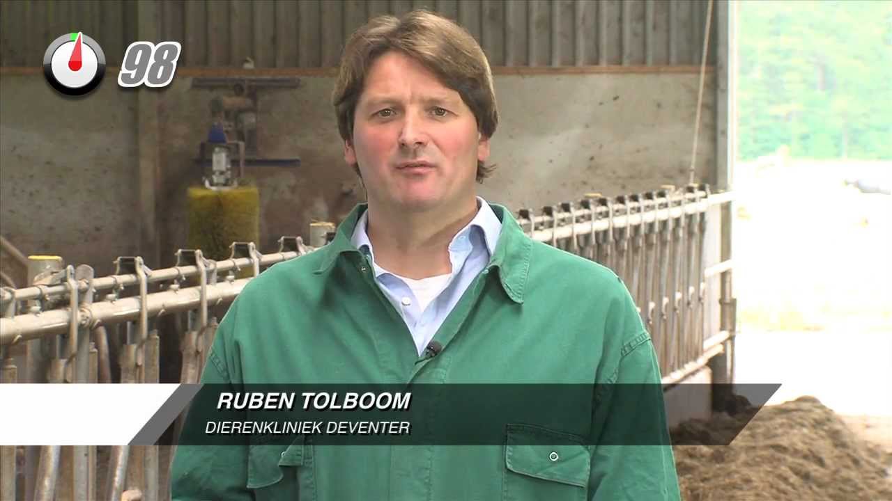 Kalverdiarree Runderen 100 Seconden Dierenarts YouTube Kalverdiarree runderen 100 seconden dierenarts youtube