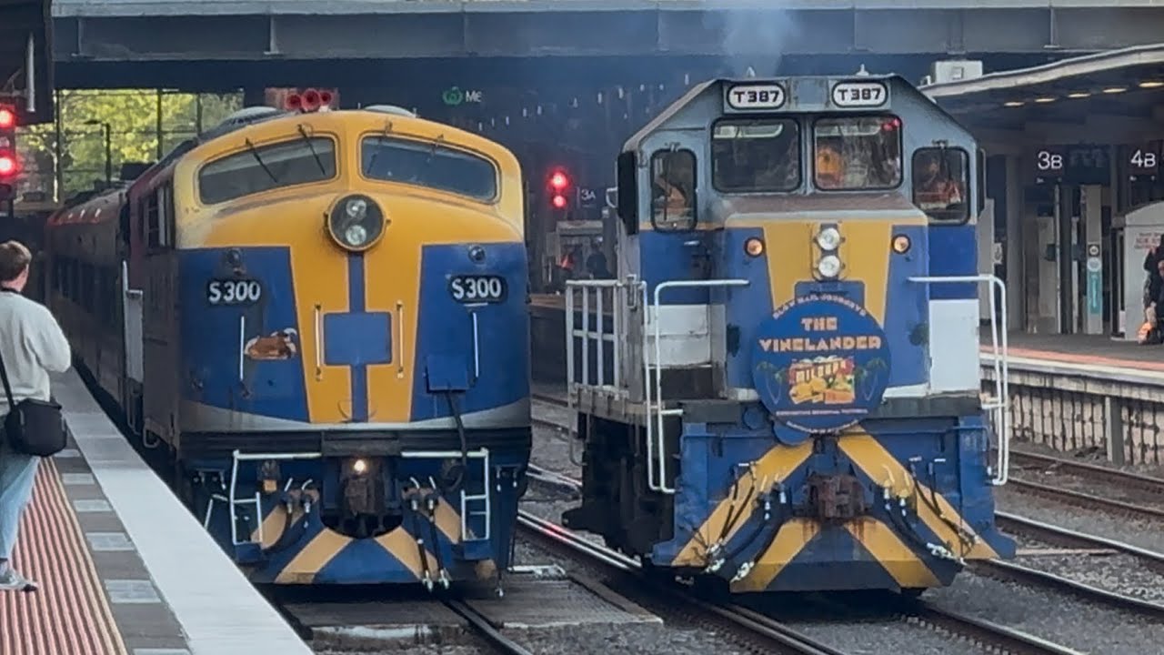 S300 on “The Vinelander” Maryborough Tour | 707 Operations with P13 & T387 Diesels | Triple Header! 