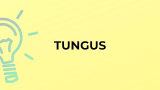 What is the meaning of the word TUNGUS