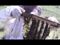 Permapicultura de Oscar Perone - Apicultor Experto - Miel y Abejas Organicas