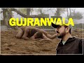 First Time in Gujranwala | Pehalwano ka Shehar | Gujranwala #artbyrehankhan #gunjrawala #streets